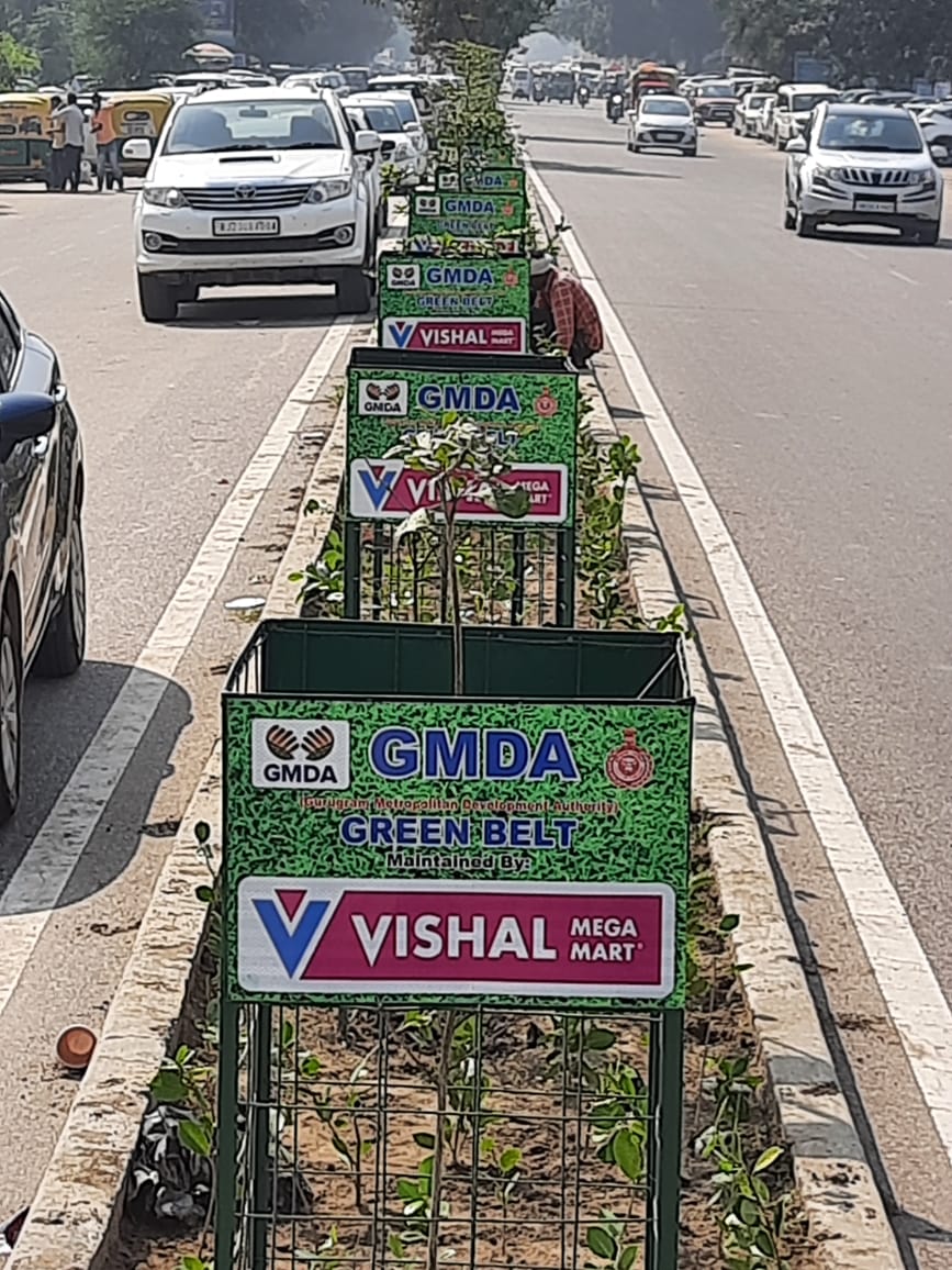 GO GREEN ONGOING PROJECT OF GMDA